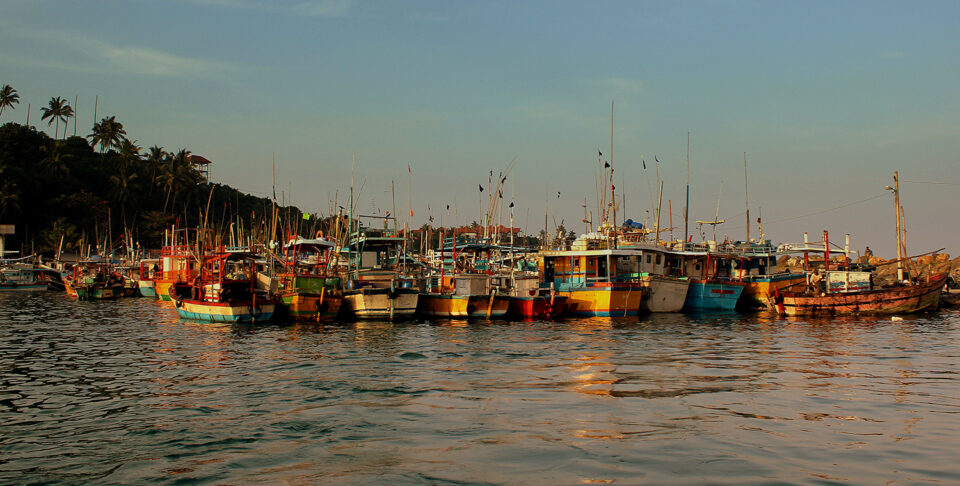 In efforts to enhance transparency in fisheries, the ultimate ...