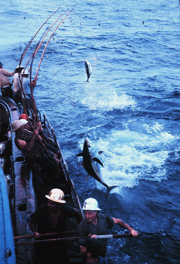 Fishing effort dynamics around the Galápagos Marine Reserve as