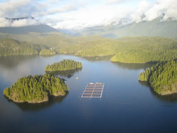 Salmon farm in British Columbia