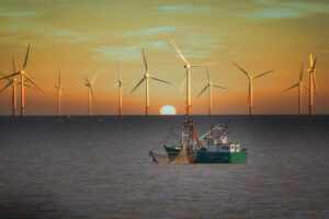 Can Maine waters support offshore wind farm initiatives and commercial fishing activity?