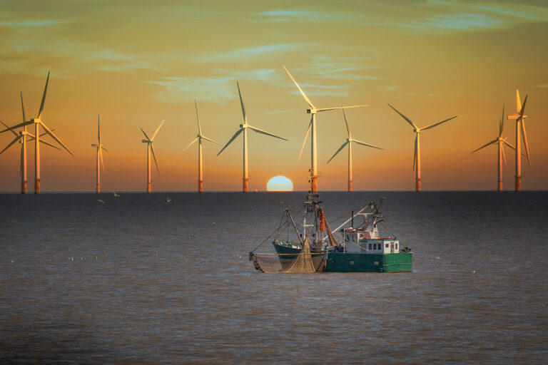 Article image for Can Maine waters support offshore wind farm initiatives and commercial fishing activity?