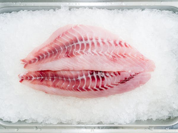 Article image for What seafood preservation techniques best minimize food waste?