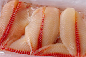 Effects of pre-slaughter stress on the fillet quality of Nile tilapia