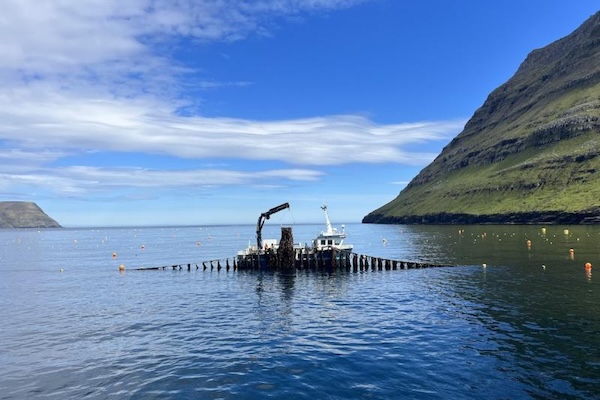 Article image for UN endorses NOAA’s new Guidelines for Sustainable Aquaculture