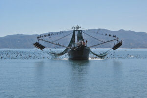 Can marine protected areas provide biodiversity advantages in well-regulated fisheries?