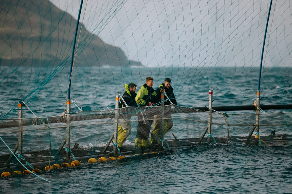 Article image for All the way back and then some: The Faroe Islands’ salmon comeback story