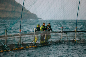 All the way back and then some: The Faroe Islands’ salmon comeback story