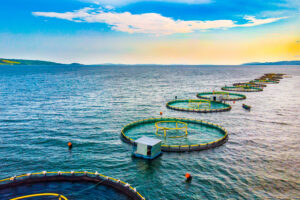 Developments in offshore aquaculture and renewable energy production