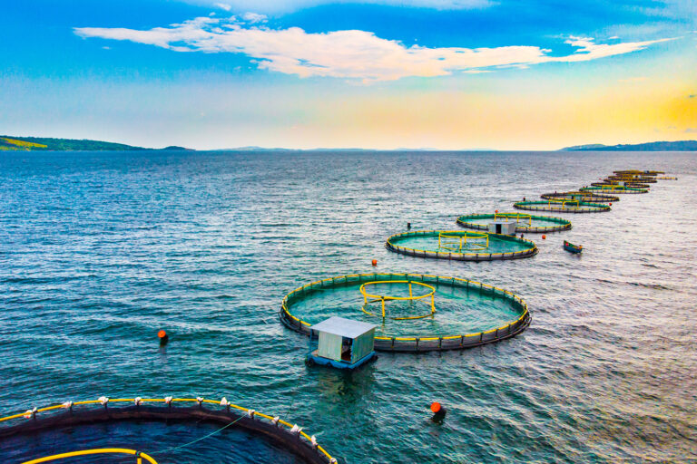 Article image for Developments in offshore aquaculture and renewable energy production