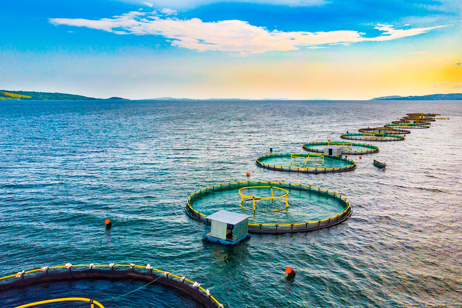 offshore aquaculture