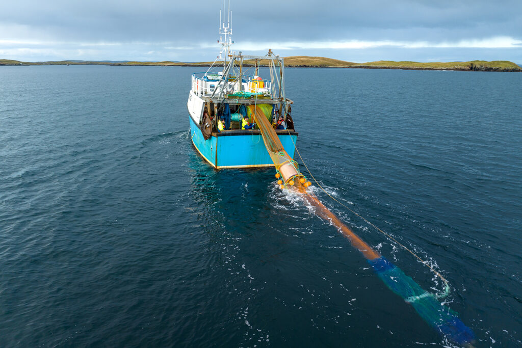 Article image for The AI tool that aims to make bottom trawling smarter and prevent bycatch and discards