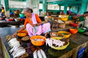 Is technology creating gender inequality in the fisheries industry?