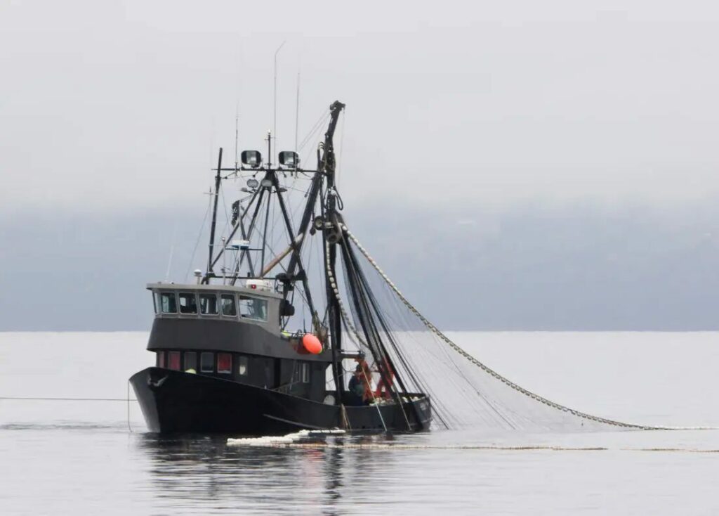 Article image for Die Rolle von Fischereifahrzeuge in der Meeresfrüchteproduktion