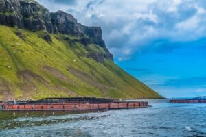 Aquaculture researchers secure funds to enhance fish health and welfare amid climate change