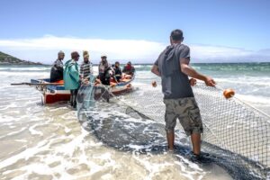 FAO: More investment in seafood production needed to drive ‘blue transformation’ for global food security