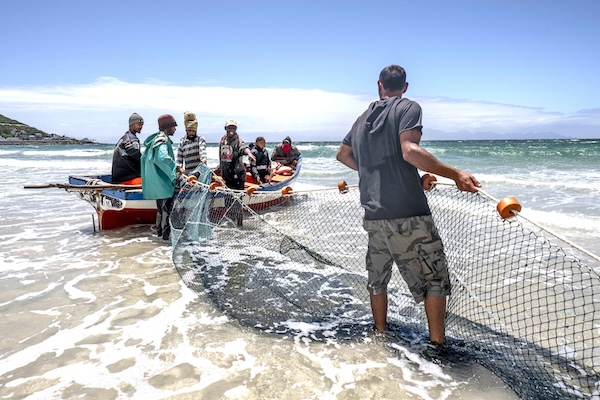 Article image for FAO: More investment in seafood production needed to drive ‘blue transformation’ for global food security