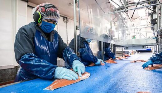 Image for article: GSA Releases Seafood Processing Standard Version 6.0