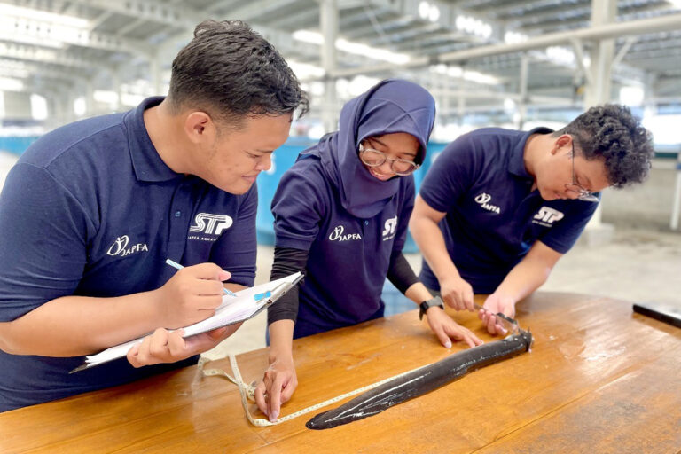 Article image for Singapore company achieves a breakthrough in tropical eel farming by closing the lifecycle