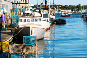 Amid warnings, some marine species exhibit climate resilience as oceans warm