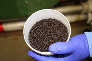 Canadian collaboration aims to expand canola for aquaculture feed